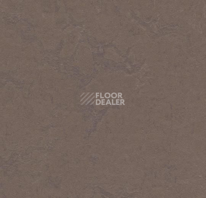 Кварцвиниловые полы Forbo Marmoleum Click 333568-633568 delta lace фото 1 | FLOORDEALER